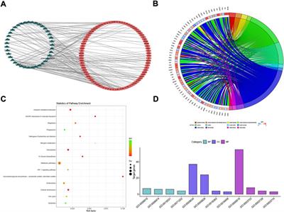 Construction of a ceRNA-based lncRNA–mRNA network to identify functional lncRNAs in premature ovarian insufficiency